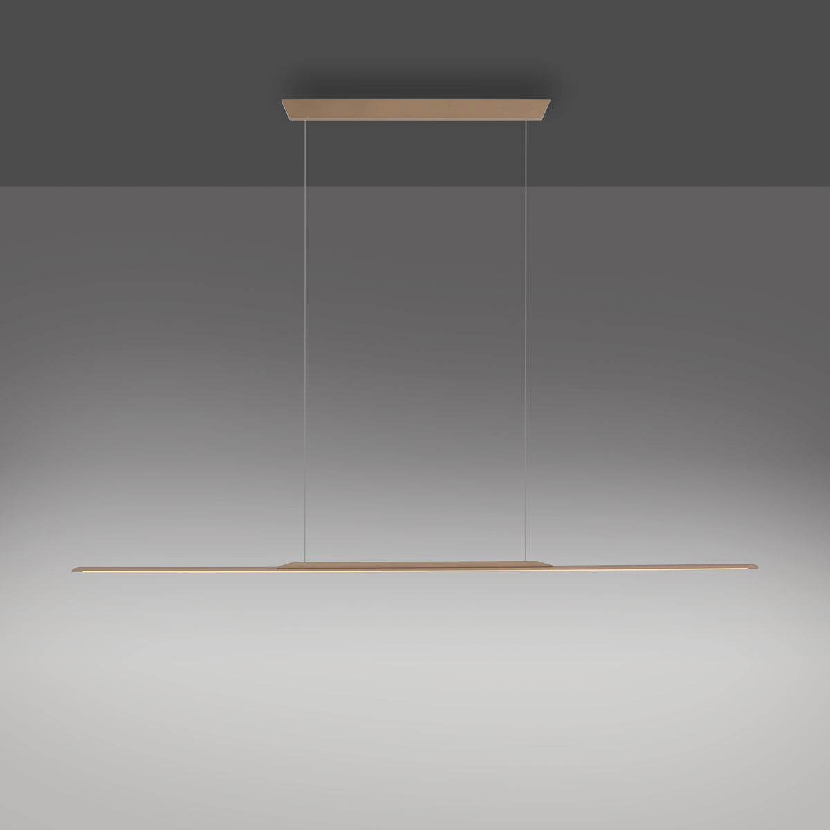 PURE Surface, Pendelleuchte, 1600x25x1500
