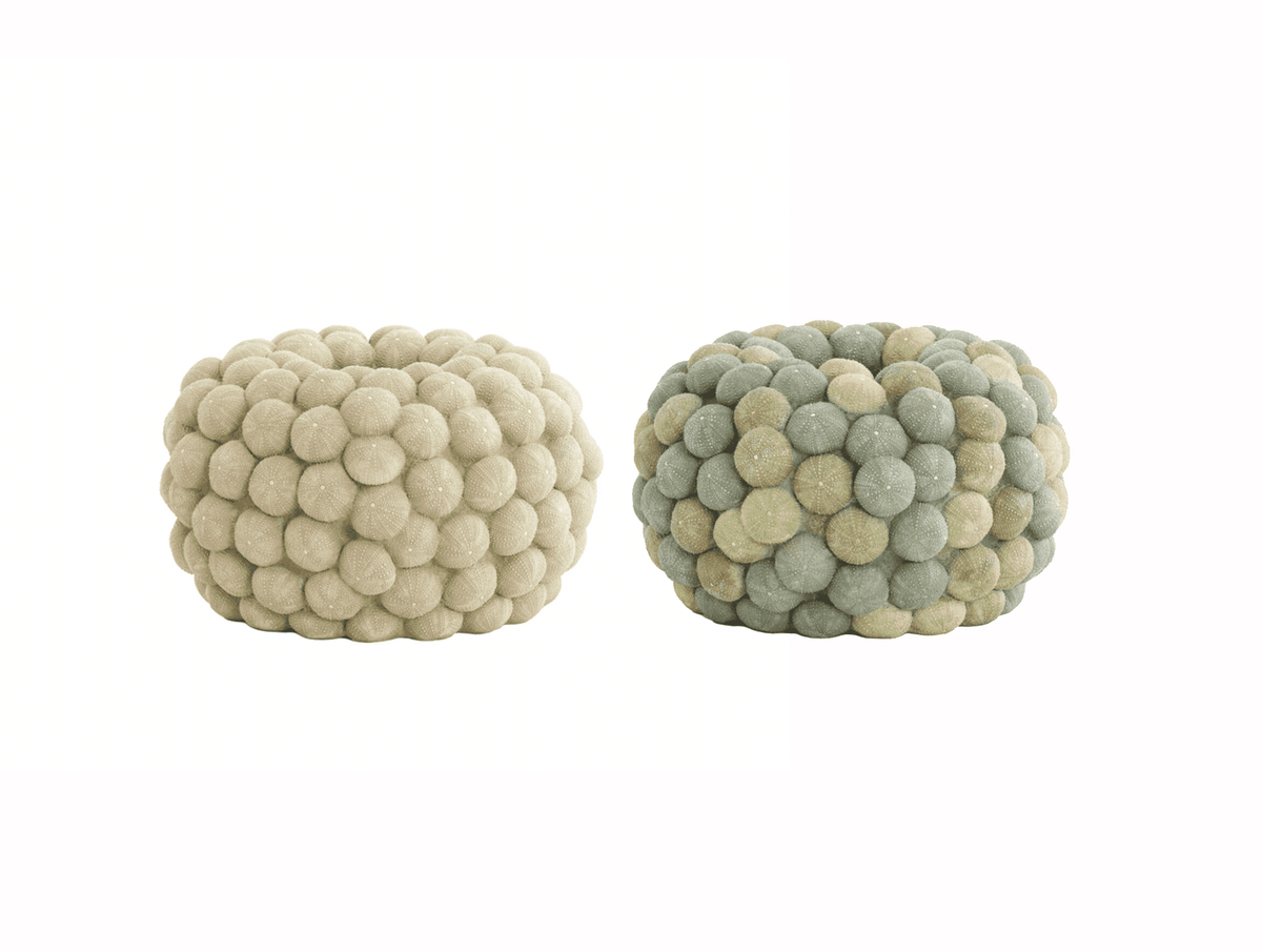 Vase - Sea Urchin