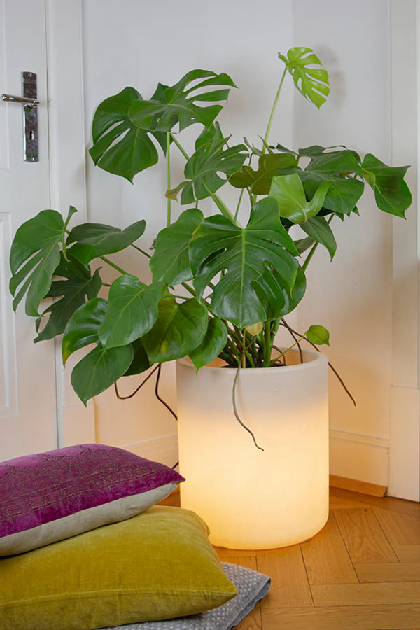 LED Blumentopf - Lumi elegant