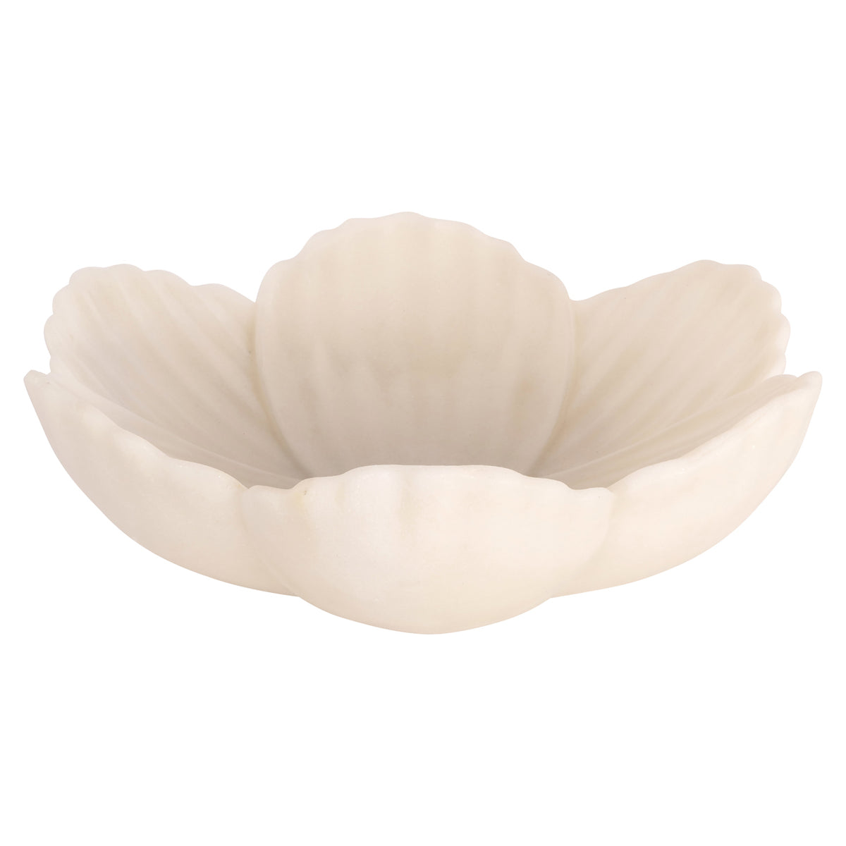 Schale Xena white S
