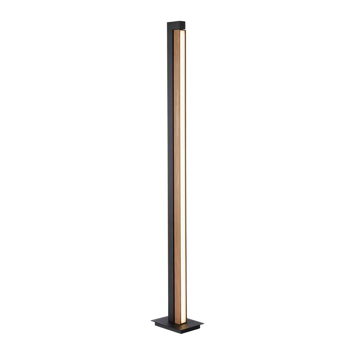 PURE Lines Floor, Stehleuchte, 220x160x1550