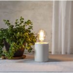 Ein runder Topf mit einer üppigen grünen Pflanze steht neben einer dekorativen Lampe mit freiliegender Glühbirne und dem eleganten Leuchtenfuß – Mio auf einem Tisch, vor einem neutral getönten Hintergrund mit sanfter Beleuchtung.
