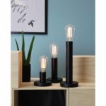 Drei LED-Kolbenlampen 3,6 W 2100 K, Ø 6,4 cm, mit freiliegenden Glühbirnen stehen auf Holzregalen neben einem Kaktus im Topf, wobei an der hellblauen Wand teilweise ein gerahmtes Kunstwerk sichtbar ist.