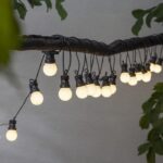 Runde Glühbirnen aus der In- & Outdoor Lichterkette – Party Lichterkette hängen an einem dunklen Ast inmitten grüner Blätter. Ihr warmes Leuchten sorgt vor einem neutralen Hintergrund für eine gemütliche Atmosphäre.