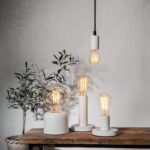 Auf einem Holztisch stehen drei moderne Lampen mit Leuchtmittel - Globe 3,8 W 1800 K dimmbar Ø12,5 cm Glühbirnen in verschiedenen Formen und Größen. Eine hängende Glühbirne sorgt für Tiefe, während links eine Topfpflanze mit schmalen Blättern vor einer schlichten Wand steht.