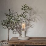 Eine dimmbare 3,8W 1800K Leuchtmittel-Tropfen-Glühbirne mit Ø6cm Durchmesser auf einem minimalistischen runden Lampensockel sitzt elegant auf einem Holztisch. Eine Topfpflanze im Hintergrund wirft ihren Schatten auf die schlichte Wand und verstärkt die gemütliche und rustikale Atmosphäre.
