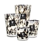 Vier dekorative Baobab-Diffusoren mit einem auffälligen schwarz-weißen Leopardenmuster schmücken ihre Glashalter. Jeder Diffusor verfügt über ein schwarzes Etikett mit dem eleganten Logo der „Baobab Collection“. Diese von Baobab inspirierten Diffusoren variieren in der Höhe und bilden ein stilvolles und stimmiges Arrangement.