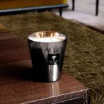 Der Baobab Diffusor Platinum mit seinem raffinierten, von Baobabs inspirierten Design ruht elegant auf einem Holztisch. Ein mit grünen strukturierten Kissen geschmücktes Sofa vervollständigt die ruhige Umgebung dahinter.
