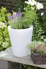 Der LED Blumentopf - Lumi von Licht Factory, in Weiß und gefüllt mit lila Lavendel und üppigem Grün, steht auf einer Holzfläche im Freien. Daneben steht ein Weidenkorb mit weißen und rosa Blumen, alles vor einem Holzzaun, der die ruhige Gartenkulisse noch verstärkt.