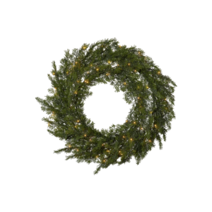 Der Türkranz - Thuja ist ein grüner Weihnachtskranz, der mit kleinen, warmweißen Lichtern geschmückt ist, die kreisförmig vor einem schlichten weißen Hintergrund angeordnet sind.