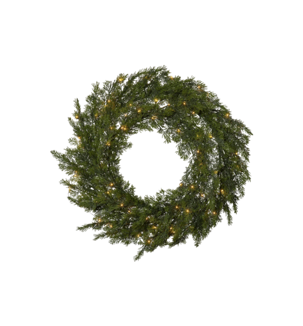 Der Türkranz - Thuja ist ein grüner Weihnachtskranz, der mit kleinen, warmweißen Lichtern geschmückt ist, die kreisförmig vor einem schlichten weißen Hintergrund angeordnet sind.