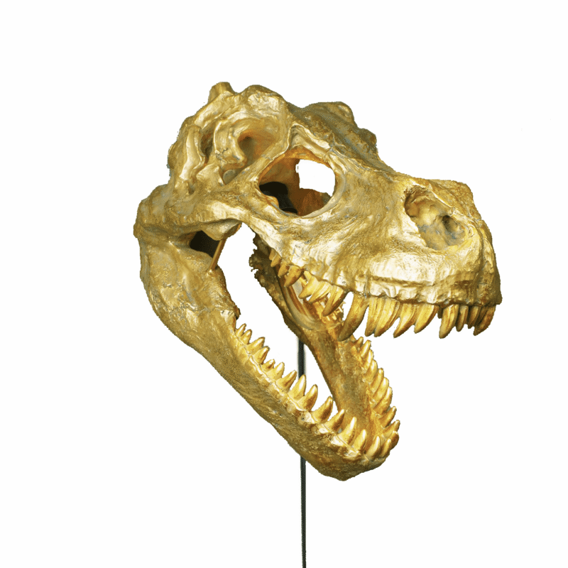 dino Sauria in gold
